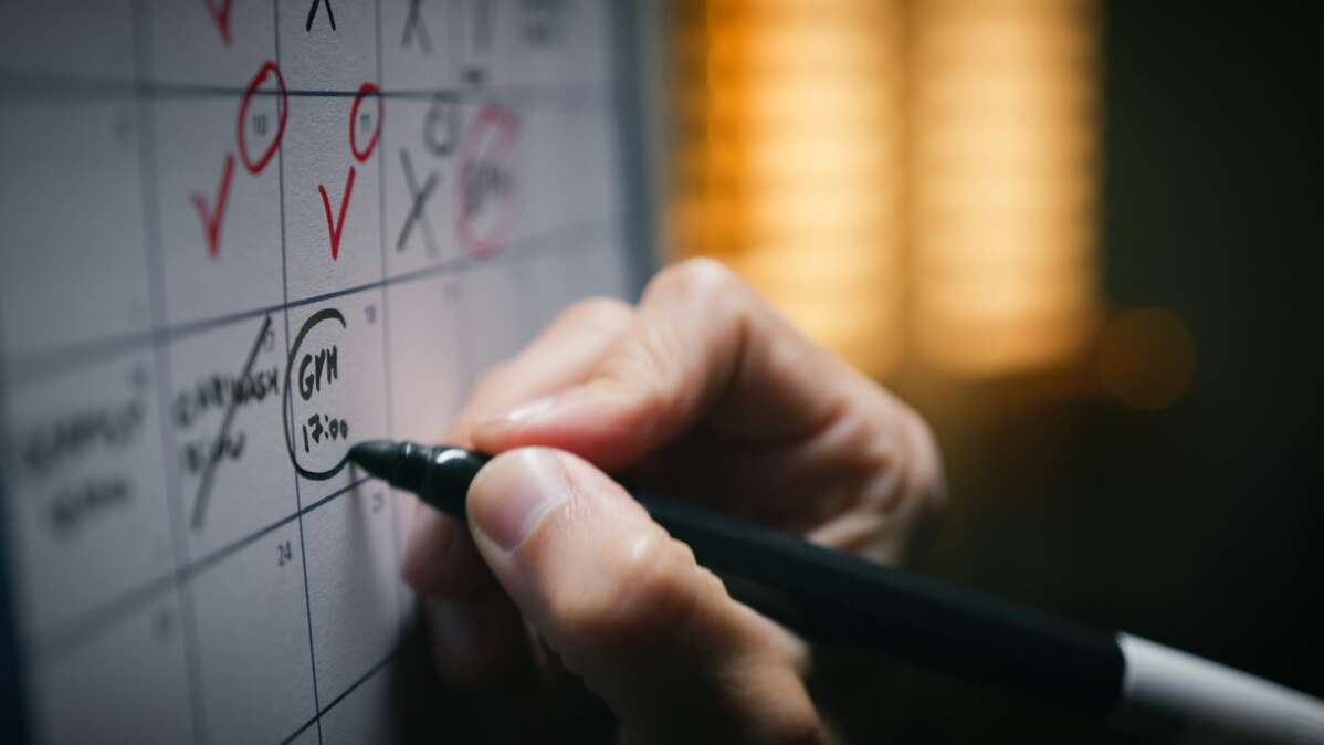 The Hitchhiker's Guide to the Calendar Booking Tool: Making More Money in 2024 by Ditching Forms feature image