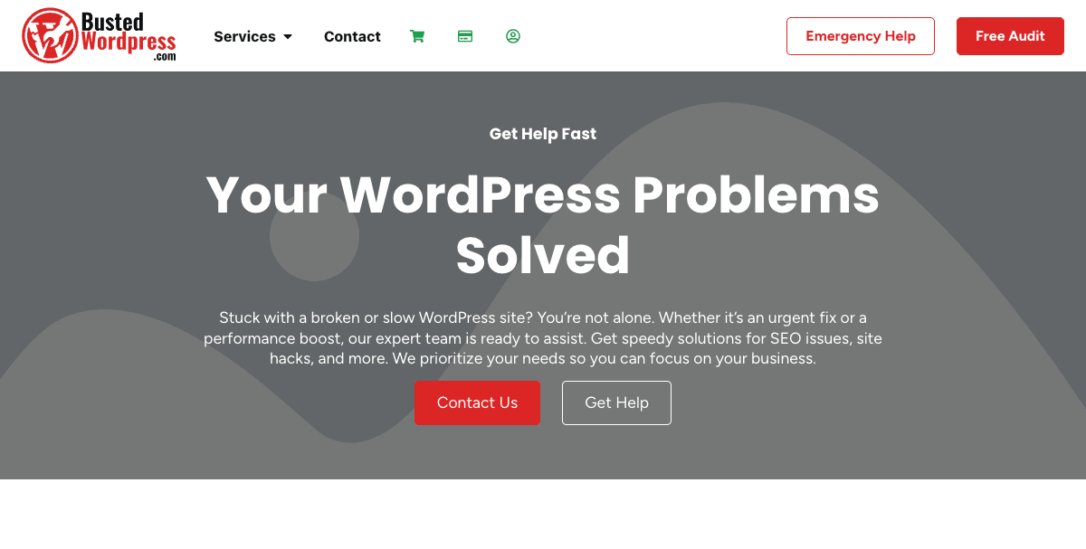 Busted WordPress website screenshot 4