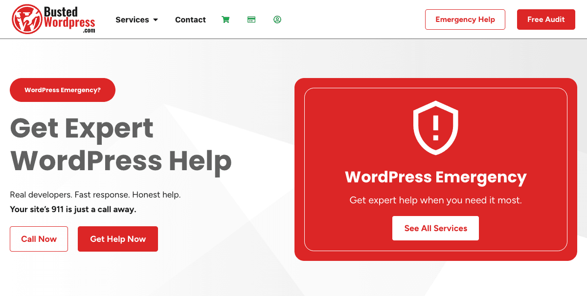 Busted WordPress website screenshot 2