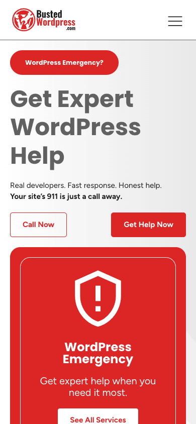 Busted WordPress mobile website mockup front view