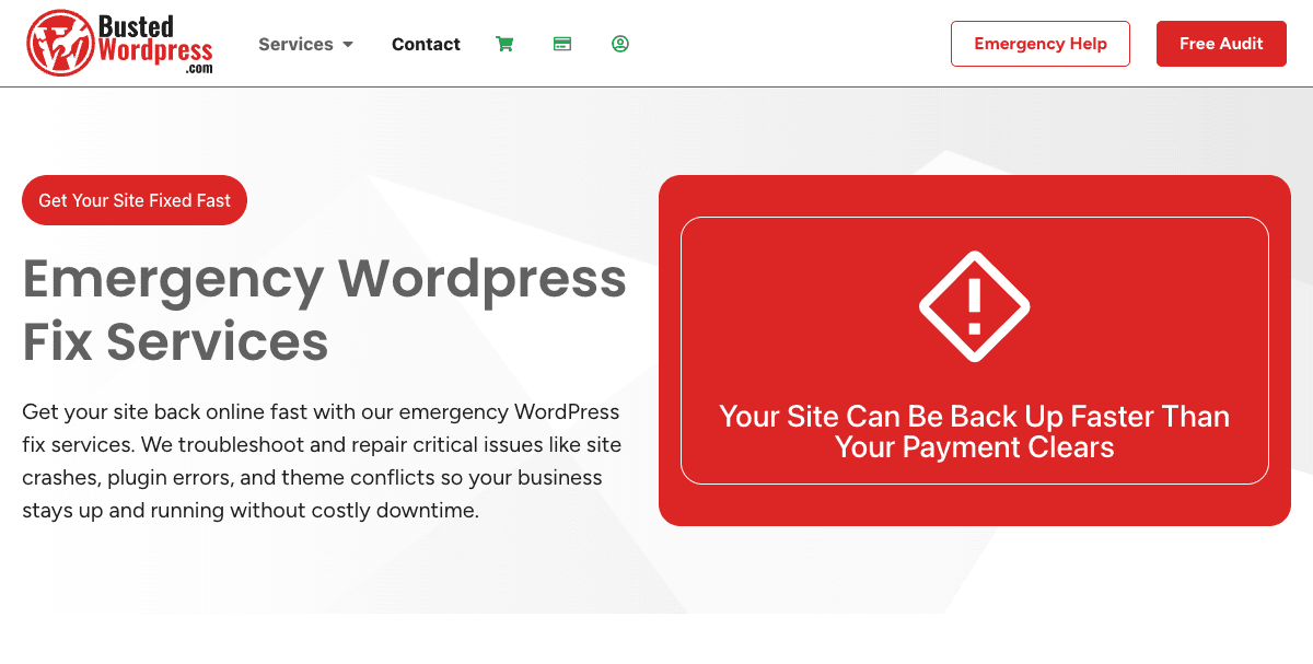 Busted WordPress website screenshot 3