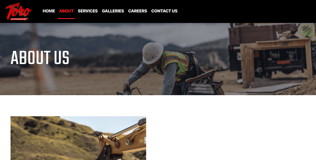 Toro Enterprises website screenshot 3