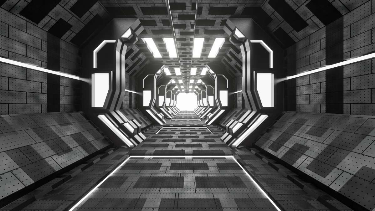 BearCom.com website background hero showcasing design