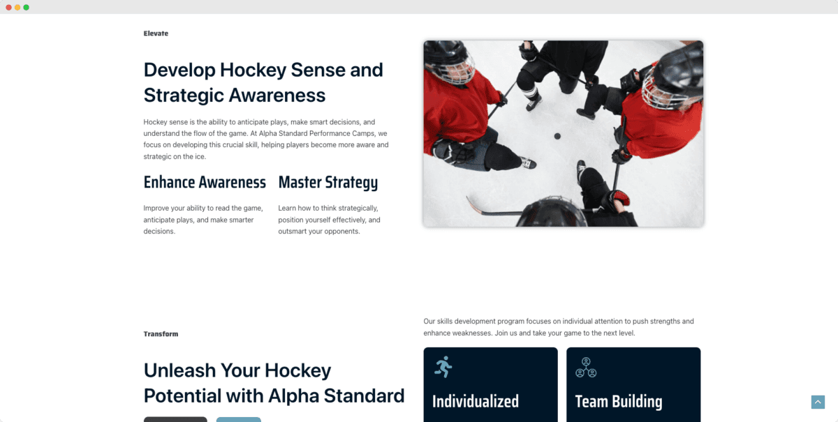 Alpha Standard Performance website design view 1